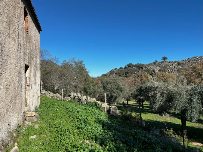 Quinta T5 para Venda em Santo Antonio das Areias Foto 25