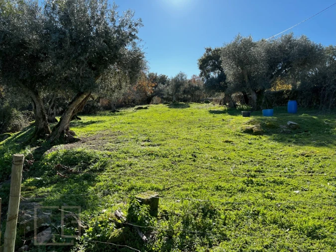 Quinta T5 para Venda em Santo Antonio das Areias Foto 27