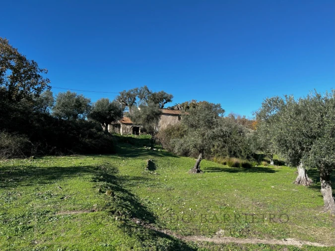 Quinta T5 para Venda em Santo Antonio das Areias Foto 28