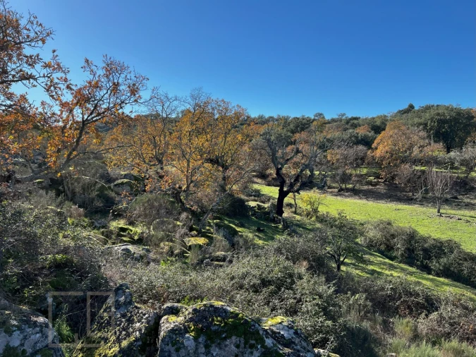 Quinta T5 para Venda em Santo Antonio das Areias Foto 32