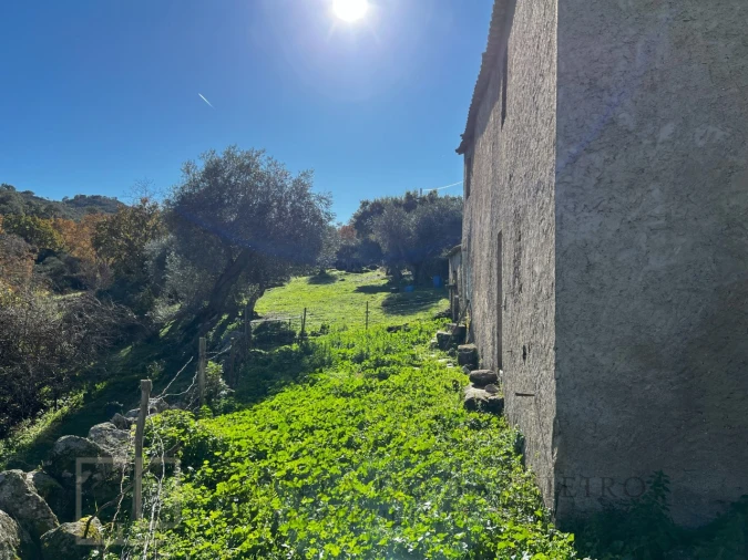 Quinta T5 para Venda em Santo Antonio das Areias Foto 33