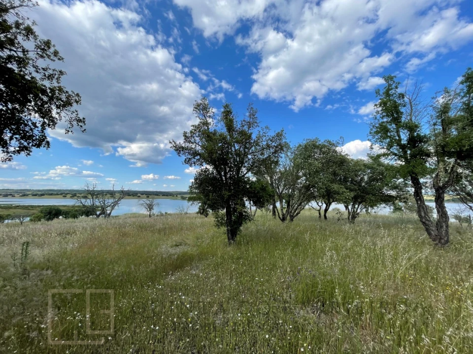 Quinta T32 para Venda em Chancelaria Foto 79