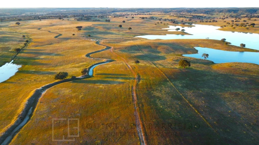 Quinta T32 para Venda em Chancelaria Foto 7