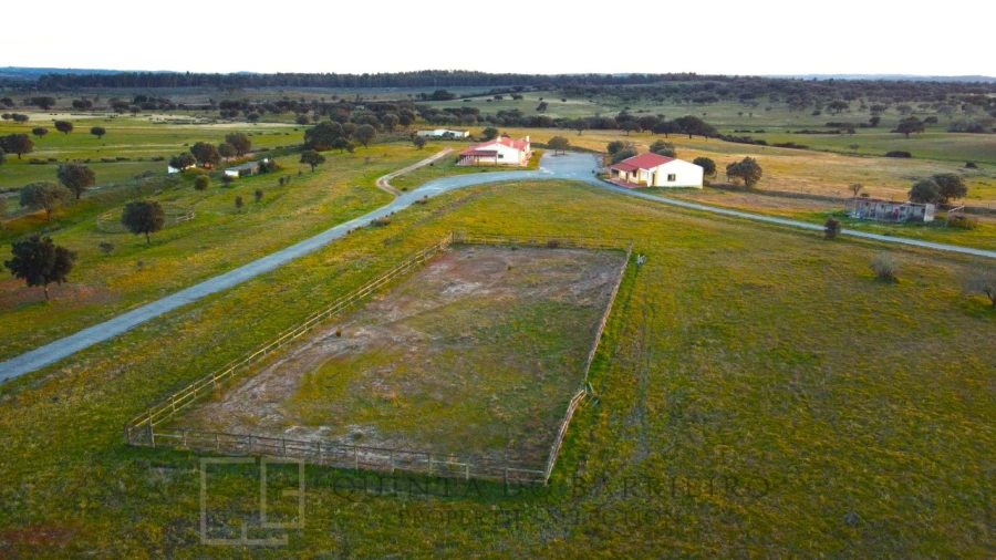 Quinta T32 para Venda em Chancelaria Foto 13