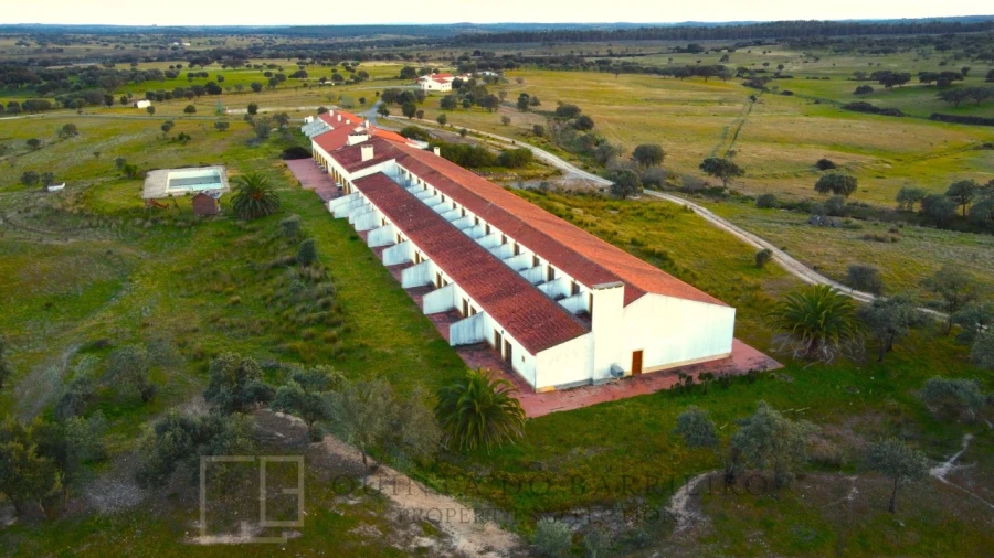 Quinta T32 para Venda em Chancelaria Foto 16