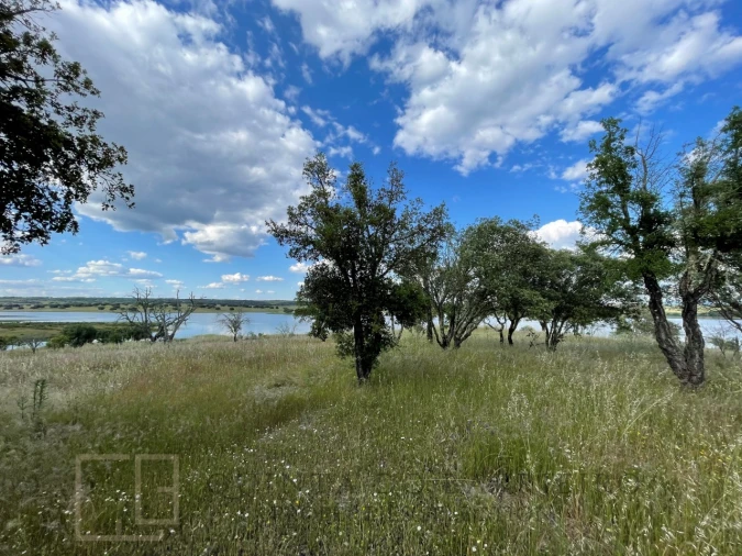 Quinta T32 para Venda em Chancelaria Foto 79