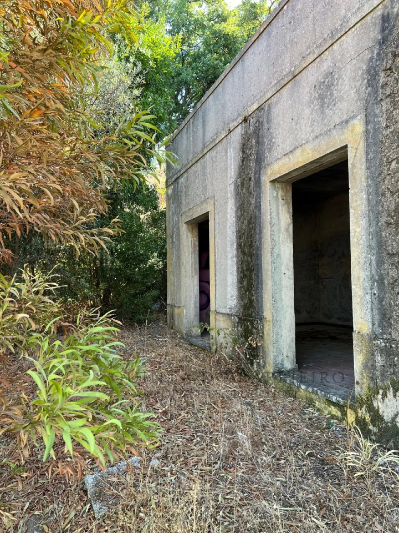 Quinta T9 para Venda em Sé e São Lourenço Foto 27