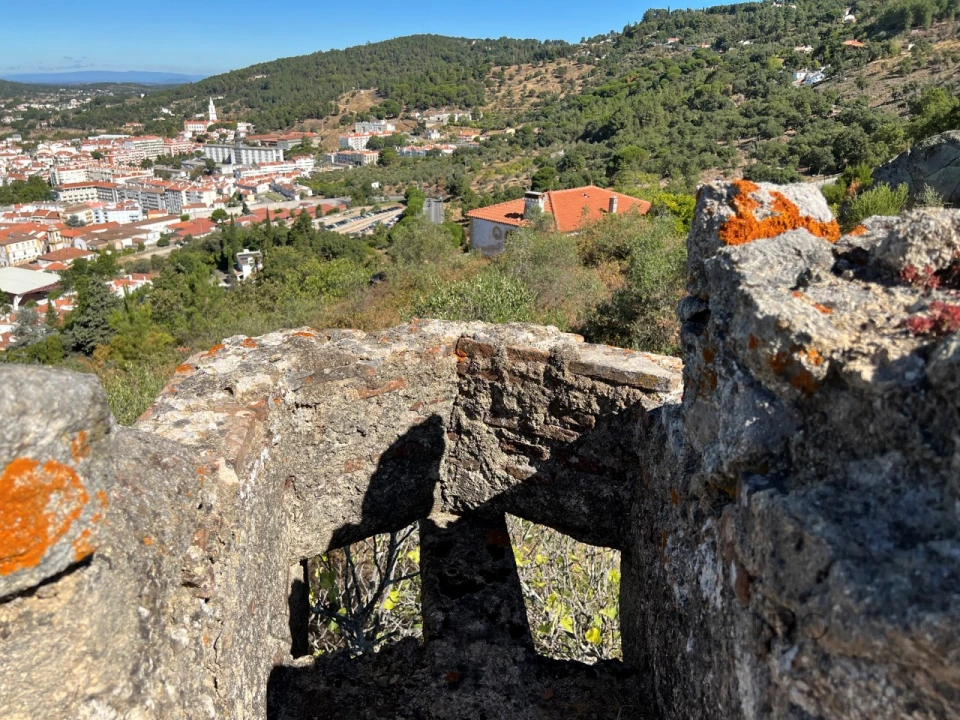Quinta T9 para Venda em Sé e São Lourenço Foto 61