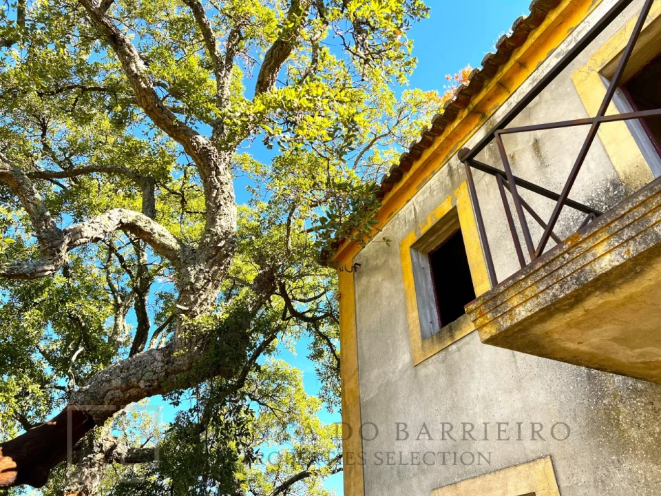 Quinta T9 para Venda em Sé e São Lourenço Foto 10