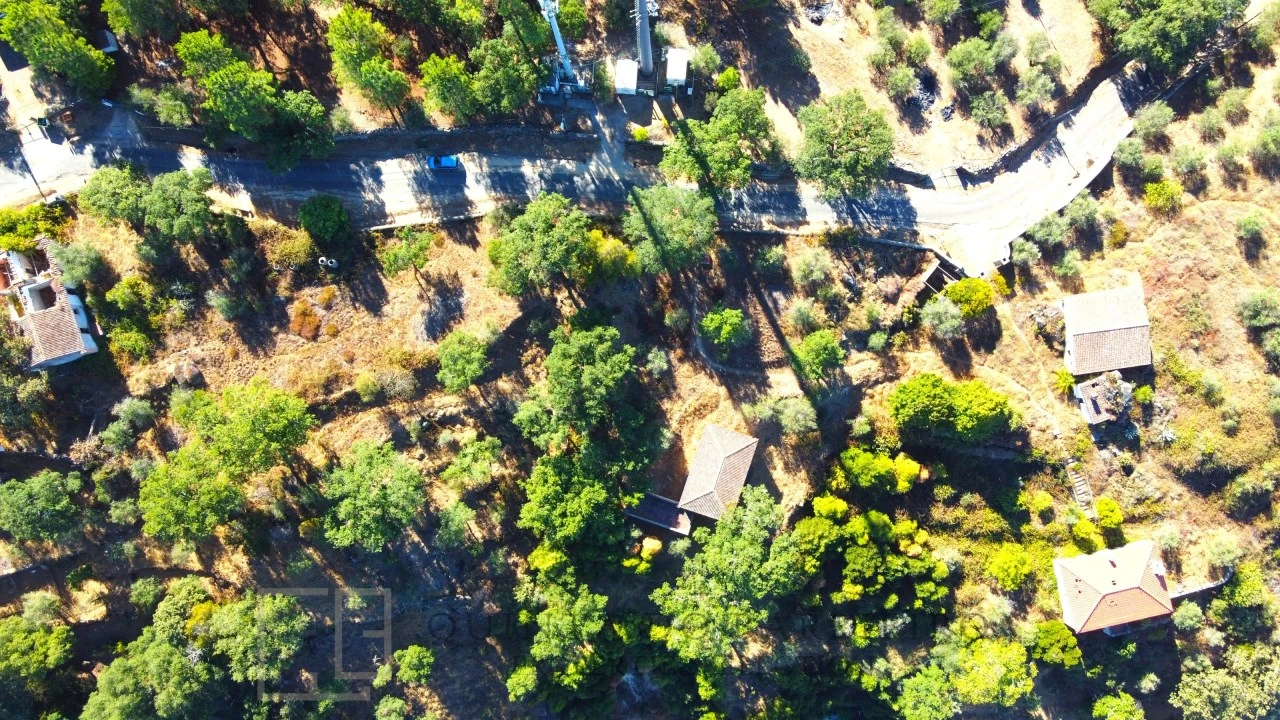 Quinta T9 para Venda em Sé e São Lourenço Foto 74