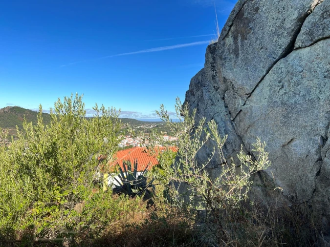 Quinta T9 para Venda em Sé e São Lourenço Foto 24