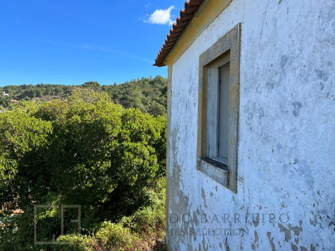Quinta T9 para Venda em Sé e São Lourenço Foto 38