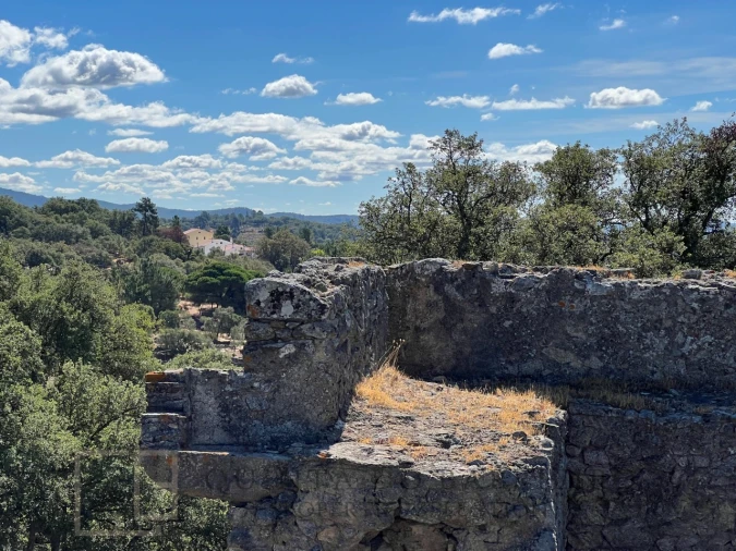 Quinta T9 para Venda em Sé e São Lourenço Foto 44