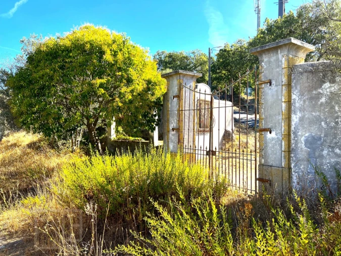 Quinta T9 para Venda em Sé e São Lourenço Foto 3