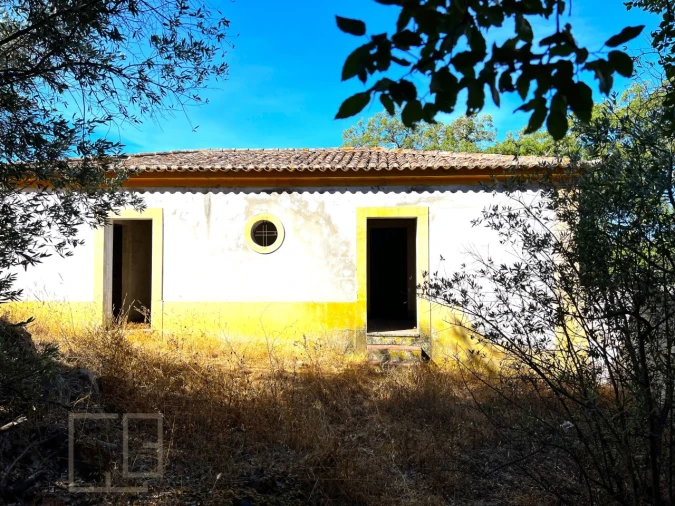 Quinta T9 para Venda em Sé e São Lourenço Foto 6