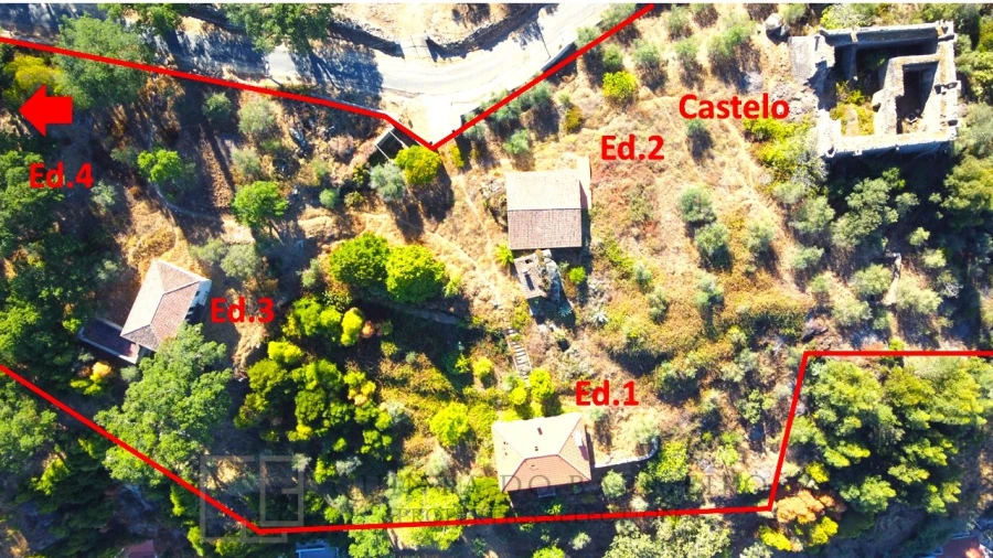 Quinta T9 para Venda em Sé e São Lourenço Foto 14