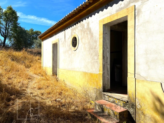 Quinta T9 para Venda em Sé e São Lourenço Foto 70