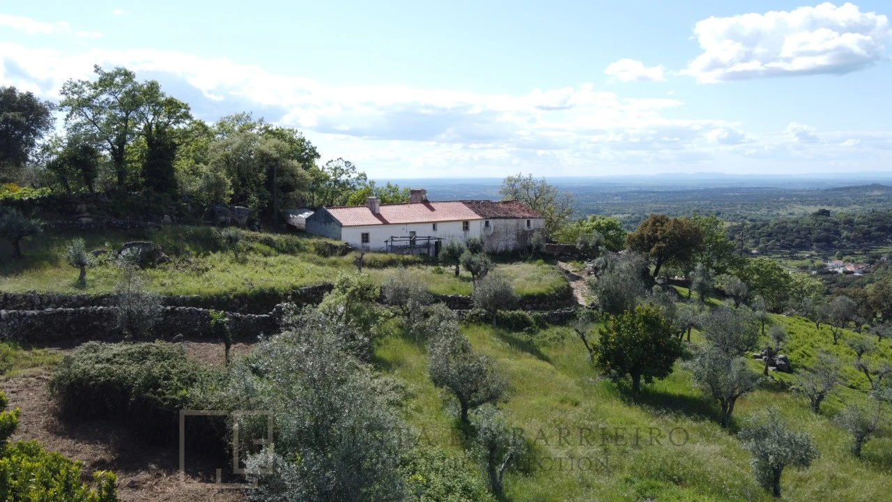 Quinta T2 para Venda em Ribeira de Nisa e Carreiras Foto 12