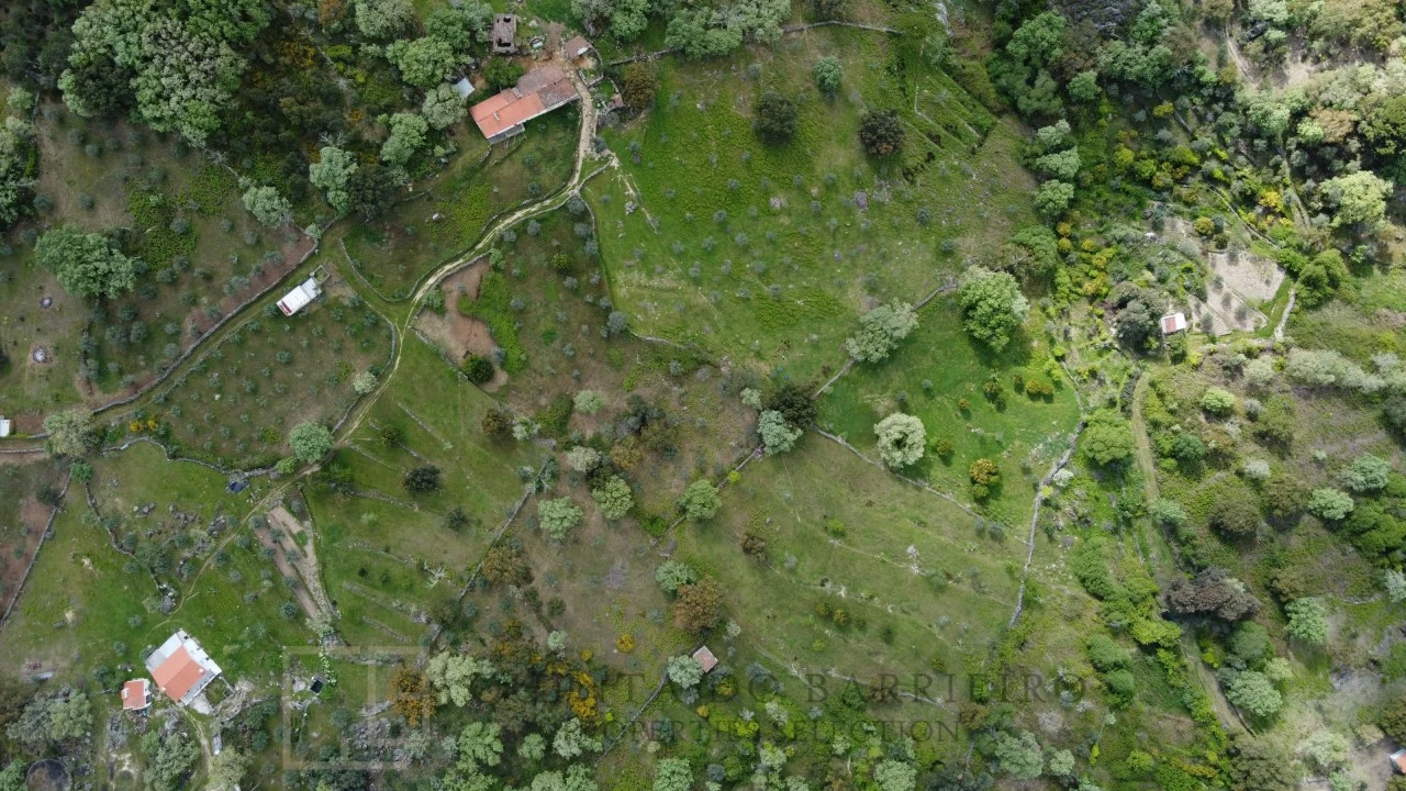 Quinta T2 para Venda em Ribeira de Nisa e Carreiras Foto 15