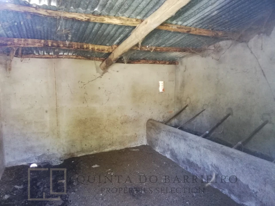 Quinta T2 para Venda em Ribeira de Nisa e Carreiras Foto 11