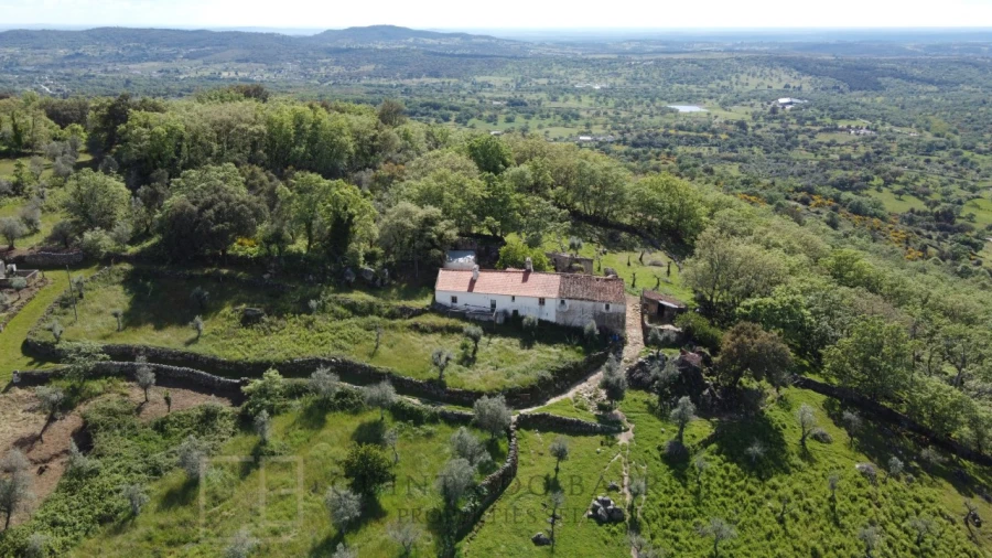 Quinta T2 para Venda em Ribeira de Nisa e Carreiras
