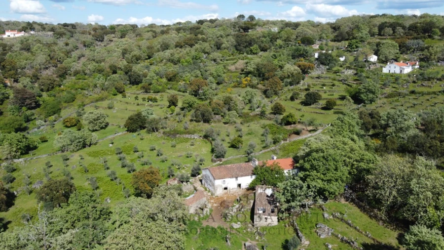 Quinta T2 para Venda em Ribeira de Nisa e Carreiras Foto 9