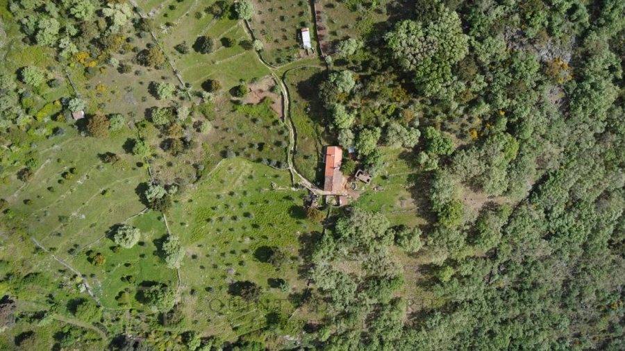 Quinta T2 para Venda em Ribeira de Nisa e Carreiras Foto 13