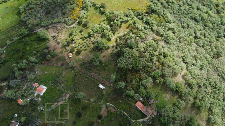 Quinta T2 para Venda em Ribeira de Nisa e Carreiras Foto 14