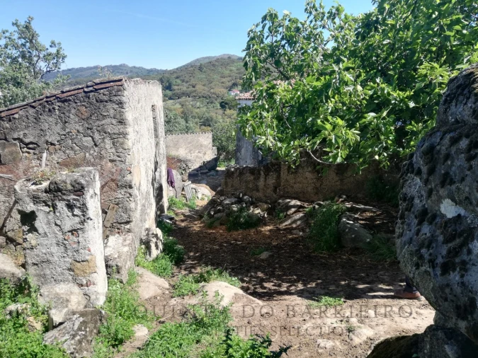 Quinta T2 para Venda em Ribeira de Nisa e Carreiras Foto 16