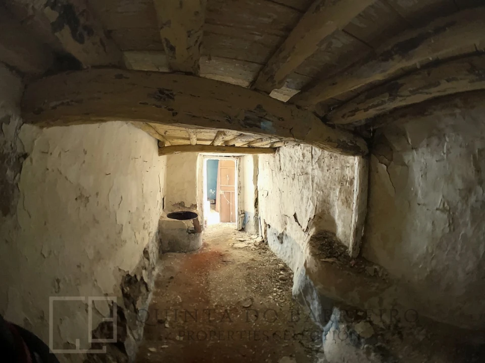 Terreno para Venda em Ribeira de Nisa e Carreiras Foto 12