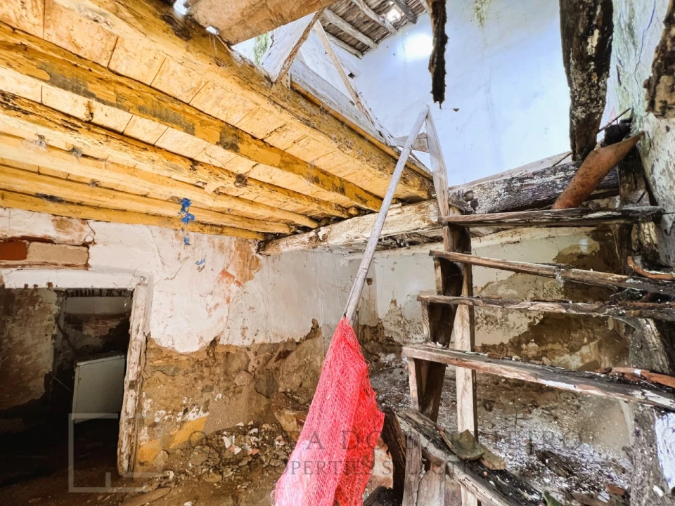 Terreno para Venda em Ribeira de Nisa e Carreiras Foto 6