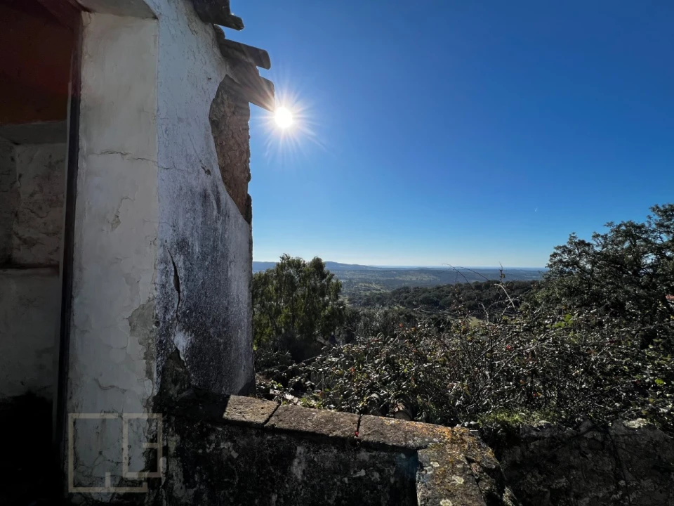 Terreno para Venda em Ribeira de Nisa e Carreiras Foto 19