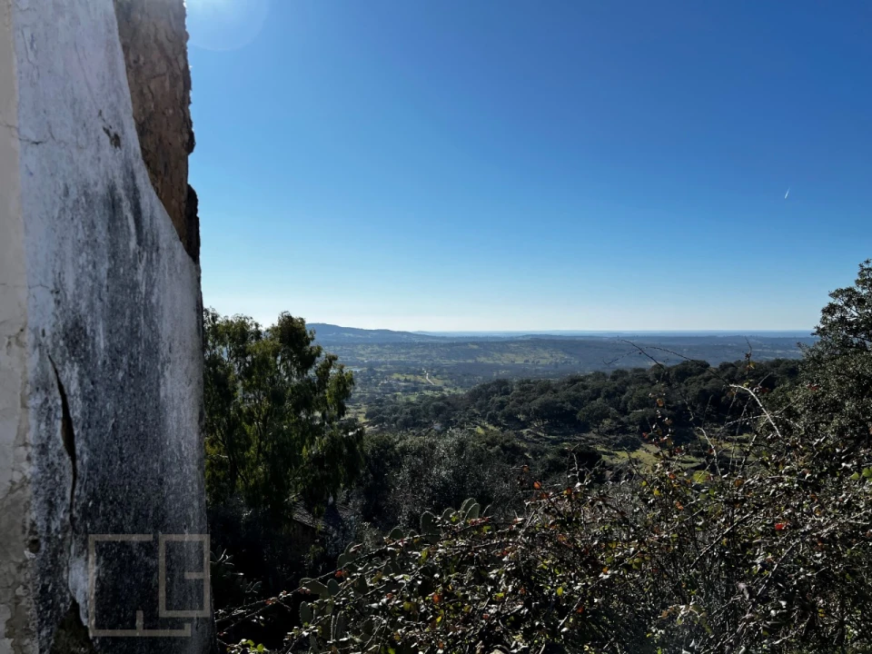 Terreno para Venda em Ribeira de Nisa e Carreiras Foto 20