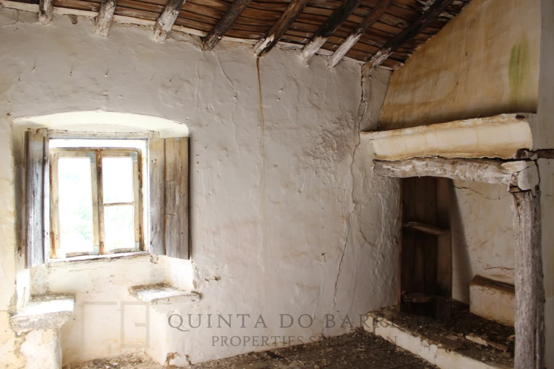 Terreno para Venda em Ribeira de Nisa e Carreiras Foto 22