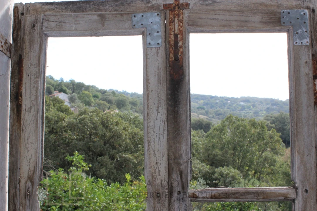 Terreno para Venda em Ribeira de Nisa e Carreiras Foto 24