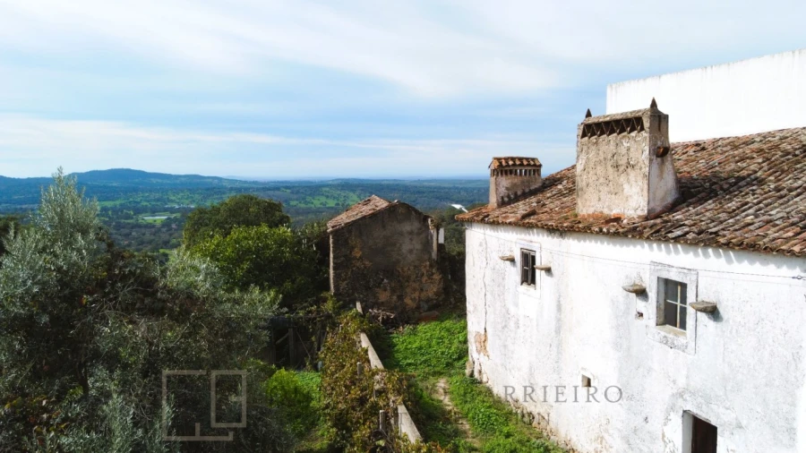 Terreno para Venda em Ribeira de Nisa e Carreiras Foto 1