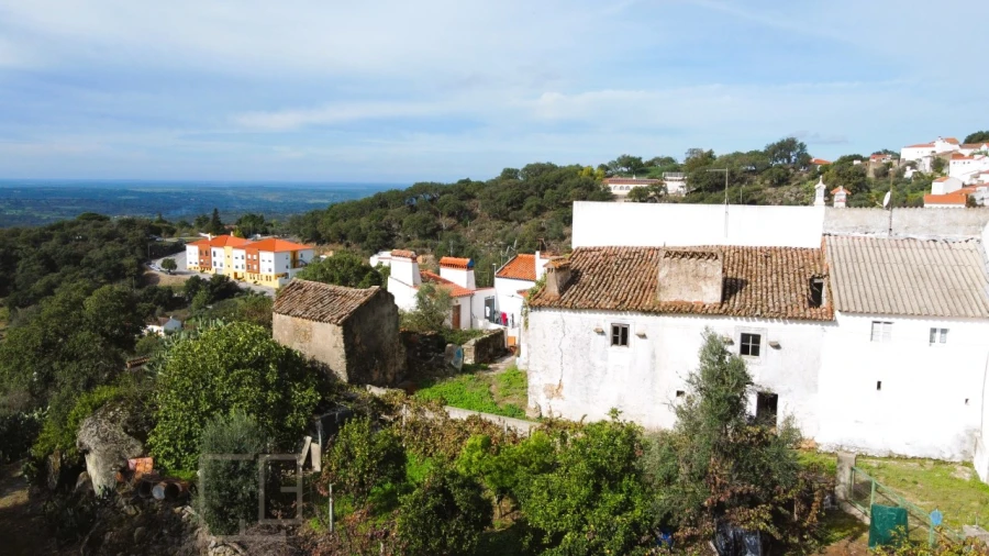 Terreno para Venda em Ribeira de Nisa e Carreiras Foto 2
