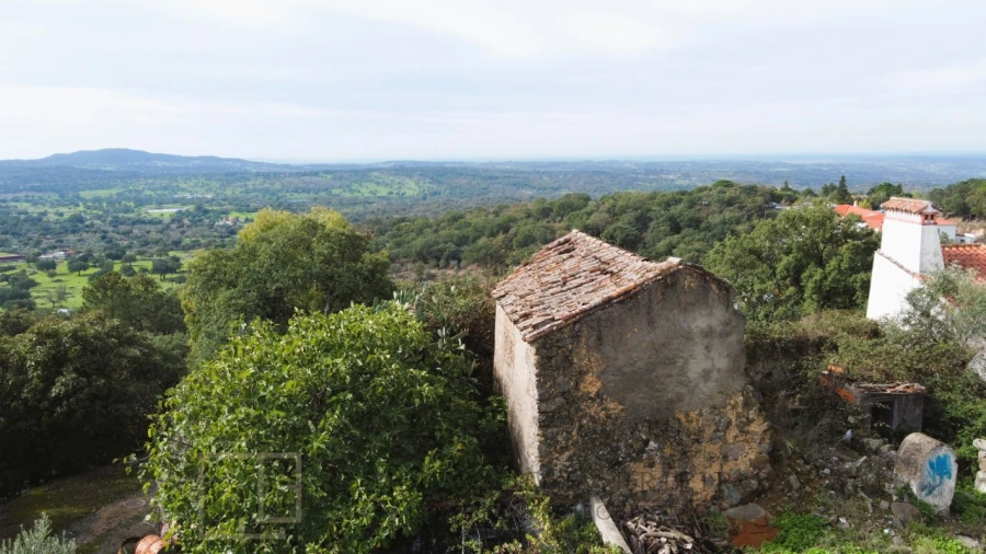 Terreno para Venda em Ribeira de Nisa e Carreiras Foto 4