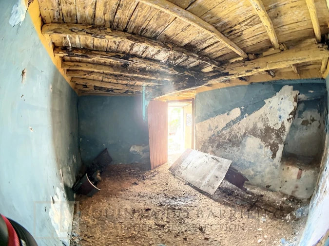 Terreno para Venda em Ribeira de Nisa e Carreiras Foto 10