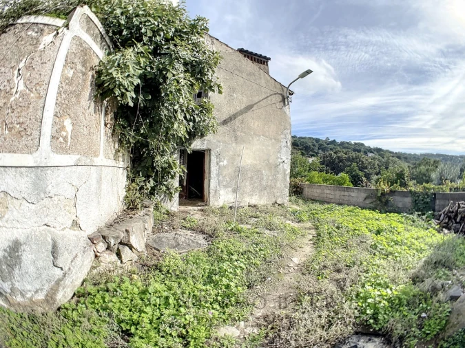 Terreno para Venda em Ribeira de Nisa e Carreiras Foto 13