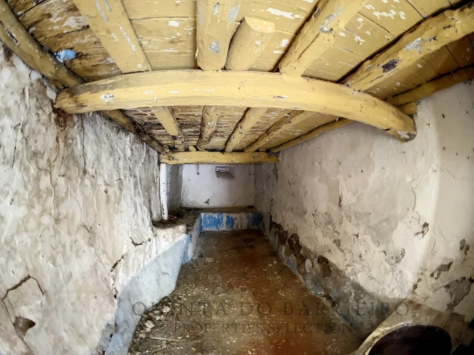 Terreno para Venda em Ribeira de Nisa e Carreiras Foto 14