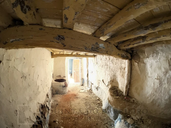 Terreno para Venda em Ribeira de Nisa e Carreiras Foto 15