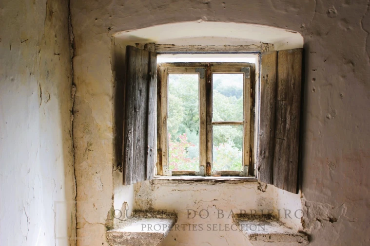 Terreno para Venda em Ribeira de Nisa e Carreiras Foto 3