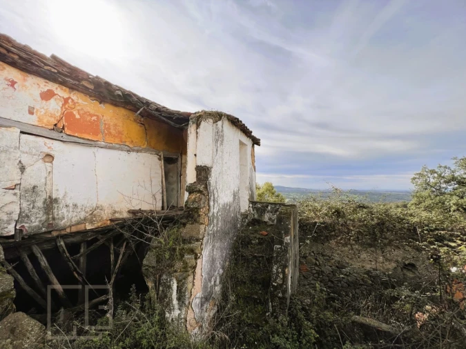 Terreno para Venda em Ribeira de Nisa e Carreiras Foto 16