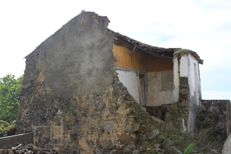 Terreno para Venda em Ribeira de Nisa e Carreiras Foto 18