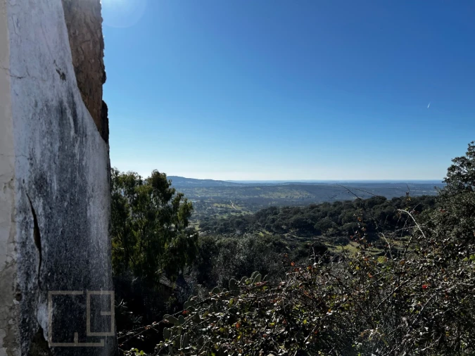 Terreno para Venda em Ribeira de Nisa e Carreiras Foto 20