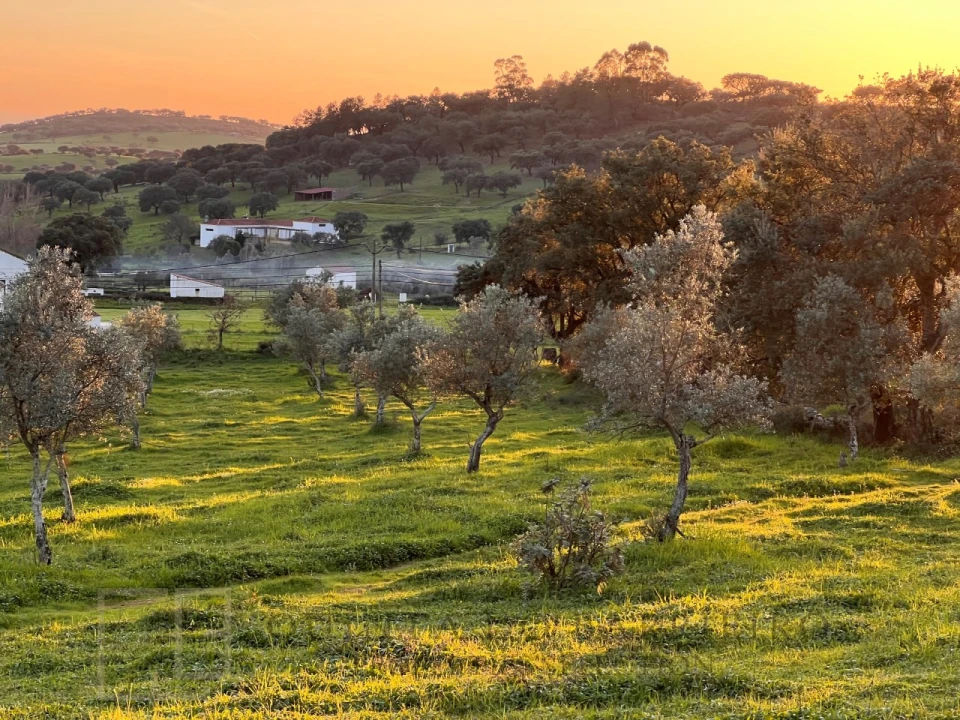 Terreno Agricola ou Rústico para Venda em Alegrete Foto 1