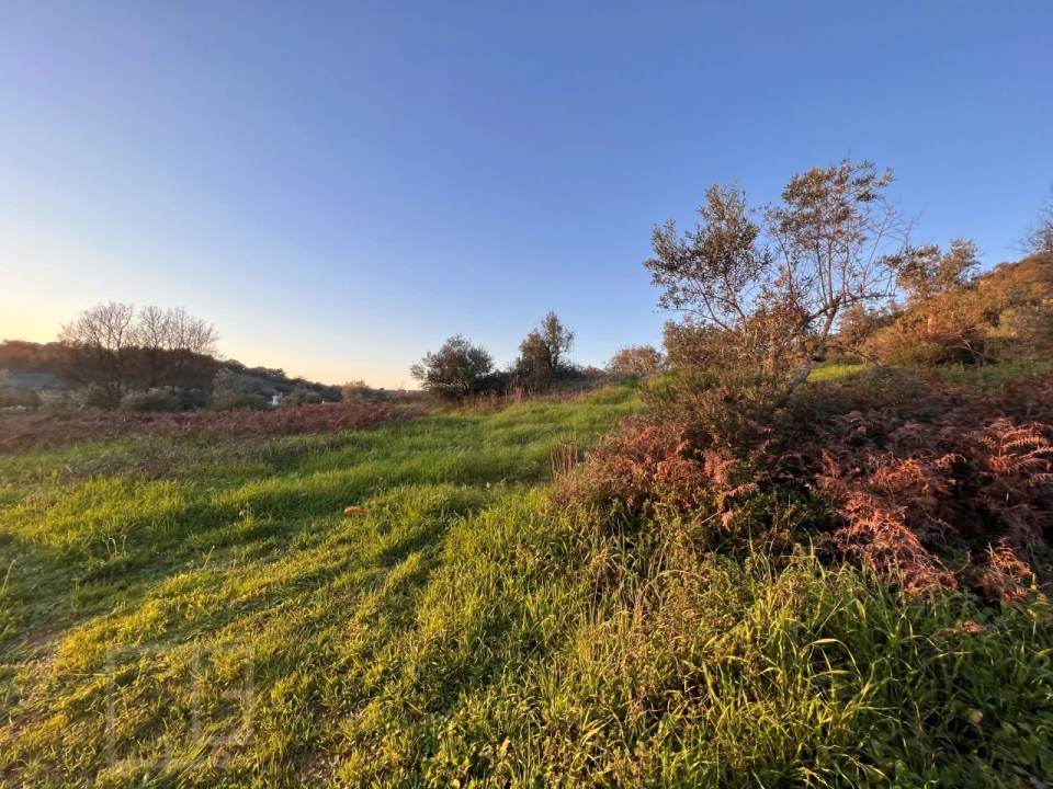 Terreno Agricola ou Rústico para Venda em Alegrete Foto 17