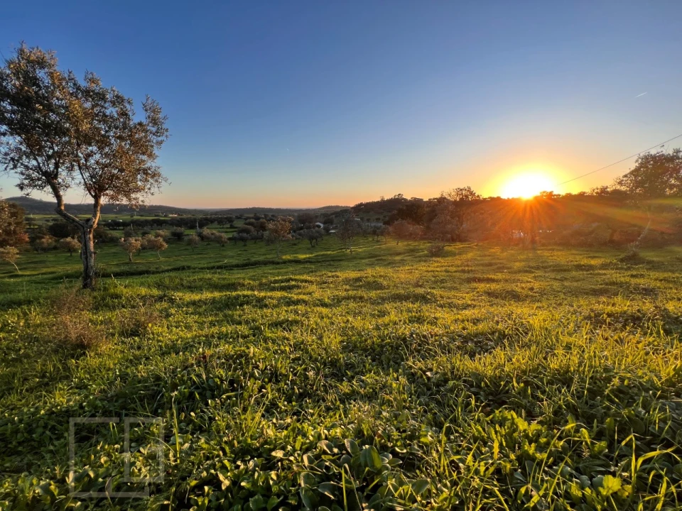 Terreno Agricola ou Rústico para Venda em Alegrete Foto 19