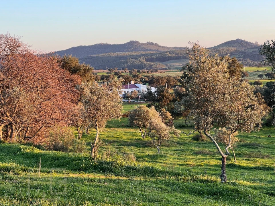 Terreno Agricola ou Rústico para Venda em Alegrete Foto 22